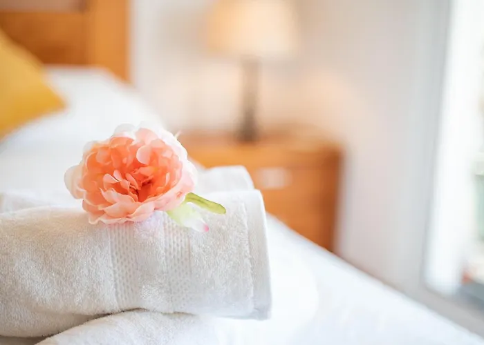 Sao Tiago By Amazing Madeira *