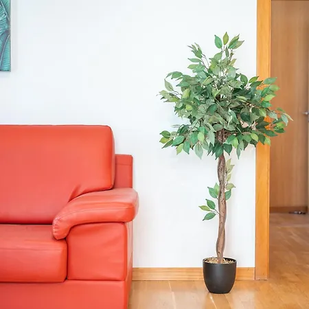 Sao Tiago Apartment